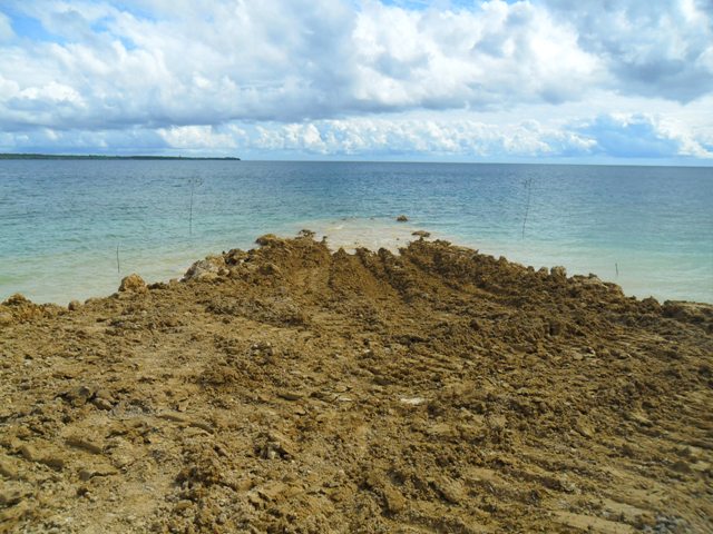 30_20120731_06101241.jpg
